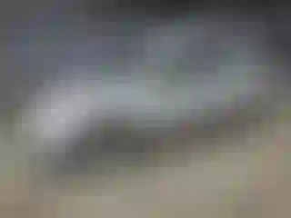 Vehicle Image- 2007 Nissan Sentra