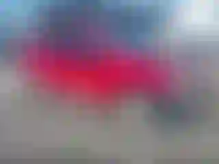 Vehicle Image- 2009 Nissan Sentra