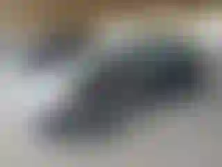 Vehicle Image- 2009 Nissan Sentra