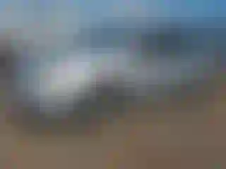 Vehicle Image- 2009 Nissan Sentra