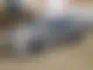 Vehicle Image- 2008 Nissan Sentra