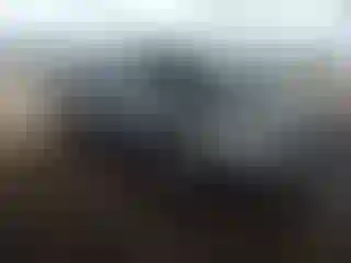 Vehicle Image- 2008 Nissan Sentra