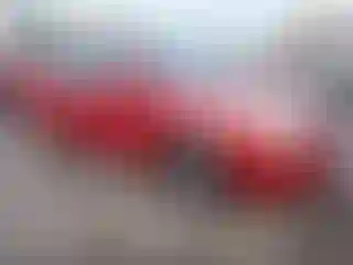 Vehicle Image- 2009 Nissan Sentra