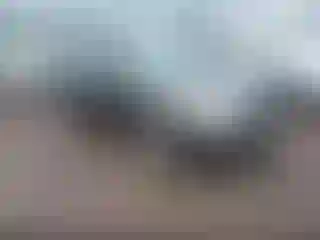 Vehicle Image- 2008 Nissan Sentra