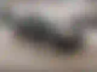 Vehicle Image- 2008 Nissan Sentra