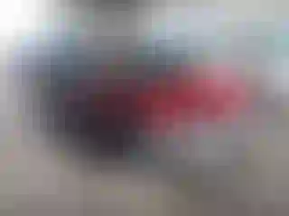 Vehicle Image- 2008 Nissan Sentra
