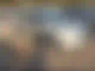 Vehicle Image- 2008 Nissan Sentra