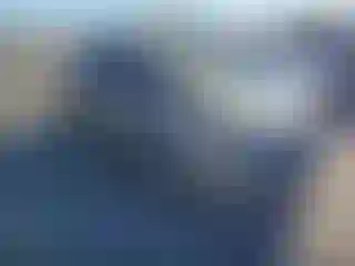 Vehicle Image- 2010 Nissan Sentra