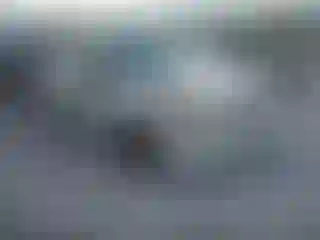 Vehicle Image- 2010 Nissan Sentra