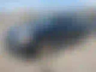Vehicle Image- 2010 Nissan Sentra