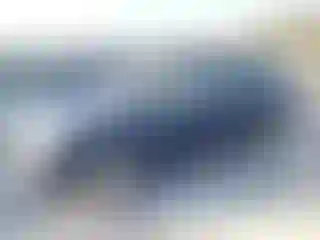 Vehicle Image- 2010 Nissan Sentra