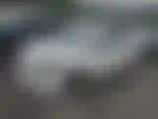 Vehicle Image- 2010 Nissan Sentra