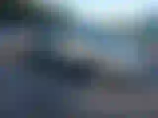 Vehicle Image- 2010 Nissan Sentra