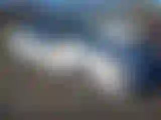 Vehicle Image- 2010 Nissan Sentra