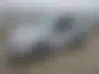 Vehicle Image- 2011 Nissan Sentra