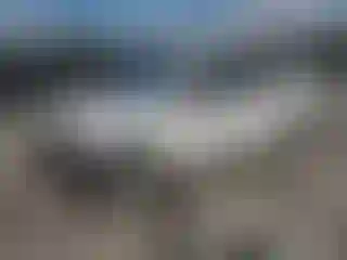 Vehicle Image- 2011 Nissan Sentra