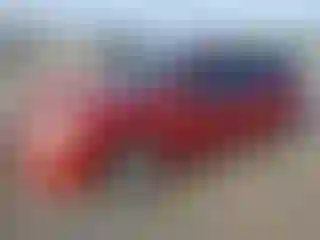 Vehicle Image- 2010 Nissan Sentra