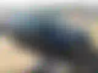 Vehicle Image- 2012 Nissan Sentra