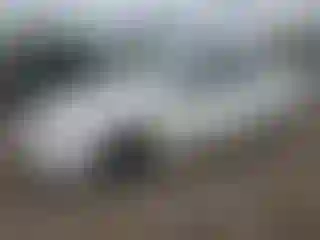 Vehicle Image- 2010 Nissan Sentra