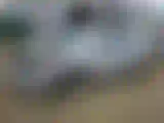 Vehicle Image- 2010 Nissan Sentra