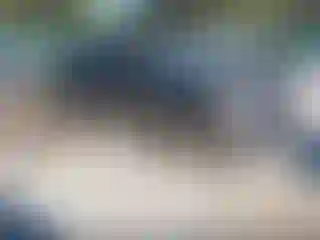 Vehicle Image- 2013 Nissan Sentra