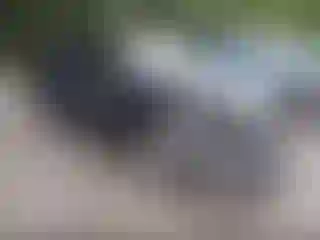 Vehicle Image- 2015 Nissan Sentra