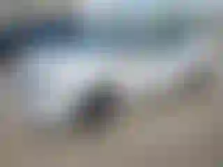 Vehicle Image- 2016 Nissan Sentra