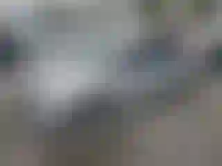 Vehicle Image- 2019 Nissan Sentra