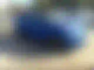 Vehicle Image- 2014 Nissan Sentra