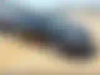 Vehicle Image- 2015 Nissan Sentra