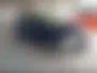 Vehicle Image- 2019 Nissan Sentra