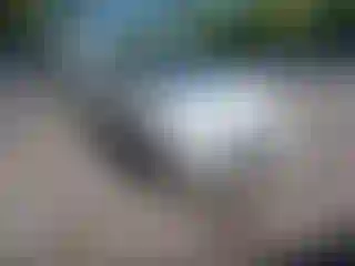 Vehicle Image- 2013 Nissan Sentra