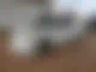 Vehicle Image- 2015 Nissan Sentra