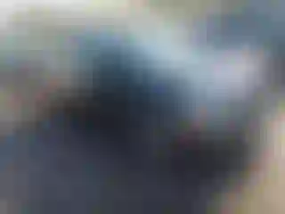 Vehicle Image- 2015 Nissan Sentra