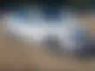 Vehicle Image- 2017 Nissan Sentra