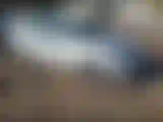 Vehicle Image- 2018 Nissan Sentra