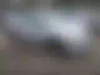 Vehicle Image- 2014 Nissan Sentra