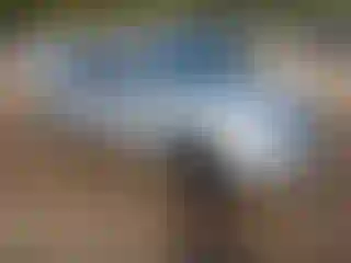 Vehicle Image- 2016 Nissan Sentra