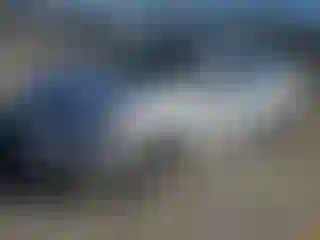 Vehicle Image- 2014 Nissan Sentra