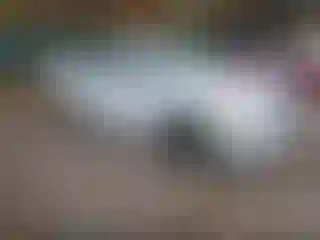 Vehicle Image- 2014 Nissan Sentra