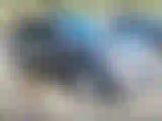 Vehicle Image- 2015 Nissan Sentra