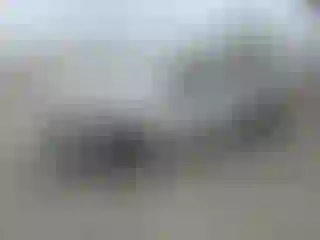 Vehicle Image- 2016 Nissan Sentra