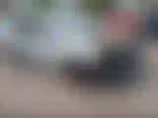 Vehicle Image- 2015 Nissan Sentra