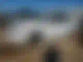 Vehicle Image- 2019 Nissan Sentra