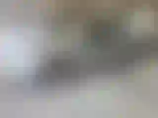 Vehicle Image- 2014 Nissan Sentra