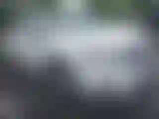 Vehicle Image- 2016 Nissan Sentra