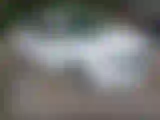 Vehicle Image- 2019 Nissan Sentra