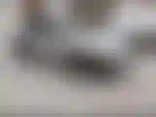 Vehicle Image- 2014 Nissan Sentra