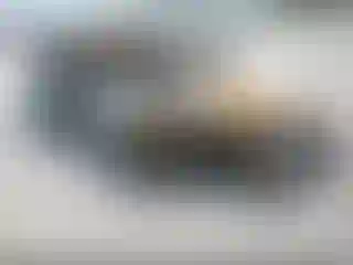 Vehicle Image- 2024 Nissan Sentra