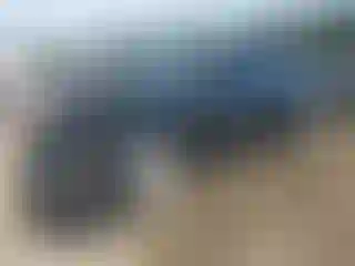 Vehicle Image- 2020 Nissan Sentra